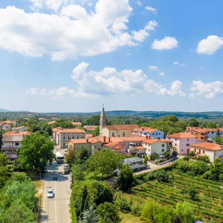 Nedešćina